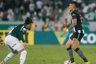 Imagem ilustrativa da imagem Palmeiras recebe o Botafogo pelo Campeonato Brasileiro