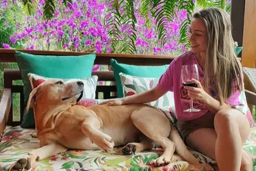 Imagem ilustrativa da imagem Pet Censo 2023 revela nomes e raças mais populares de cães e gatos