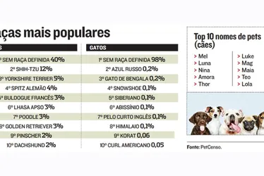 Imagem ilustrativa da imagem Pet Censo 2023 revela nomes e raças mais populares de cães e gatos