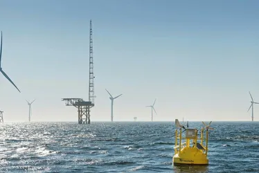 Imagem ilustrativa da imagem Petrobras estuda investir na energia do vento do mar
