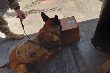 Imagem ilustrativa da imagem Polícia Federal apreende haxixe enviado pelos Correios do MS para cidades do ES