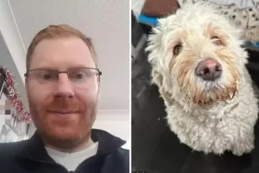 Imagem ilustrativa da imagem Polícia busca por cão furtado e encontra corpo de tutor em residência