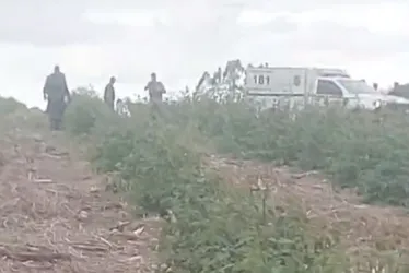 Imagem ilustrativa da imagem Polícia confirma que corpos em Sooretama são de adolescentes desaparecidos