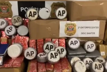 Imagem ilustrativa da imagem Polícia de SP apreende mais de 1 tonelada de maconha em Osasco