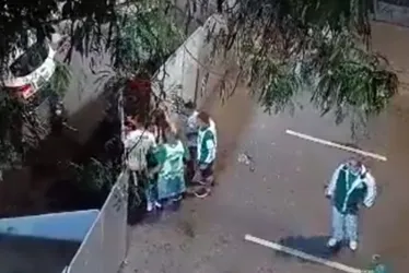 Imagem ilustrativa da imagem Polícia investiga mais 10 torcedores por briga que causou morte de palmeirense