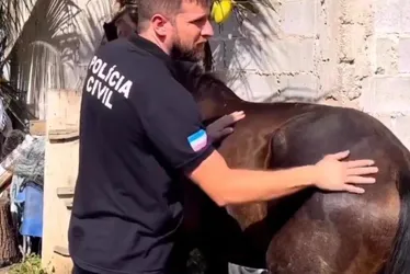 Imagem ilustrativa da imagem Polícia recupera égua furtada de fazenda no ES
