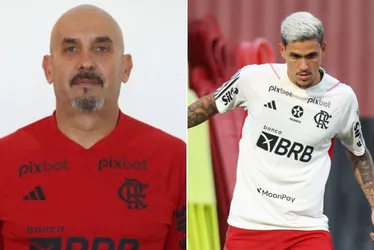 Imagem ilustrativa da imagem Preparador do Flamengo pede desculpas a Pedro após agressão