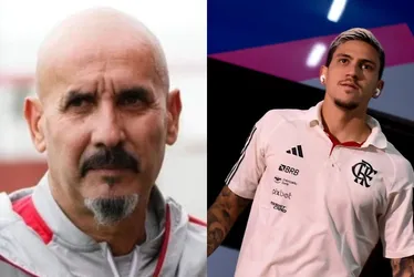 Imagem ilustrativa da imagem Preparador físico pede desculpa e processo por agressão a Pedro é encerrado