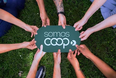 Imagem ilustrativa da imagem Quatro em cada 10 capixabas estão conectados ao cooperativismo