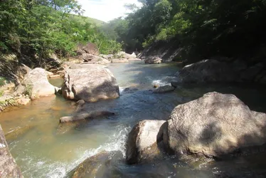 Imagem ilustrativa da imagem Rota cheia de delícias atrai turistas para João Neiva