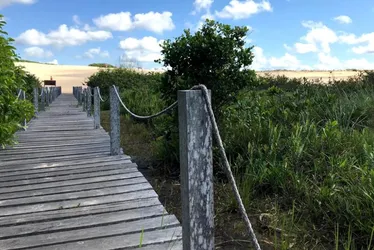 Imagem ilustrativa da imagem Roteiro com dunas, trilhas e praias desertas no Norte do ES