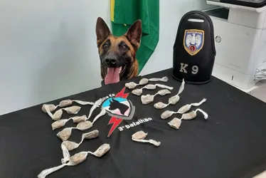 Imagem ilustrativa da imagem Suspeitos de tráfico de drogas são presos durante operação no Sul do ES