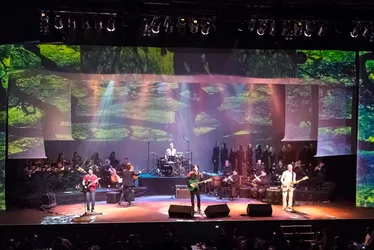 Imagem ilustrativa da imagem Teatro Guararapes vai receber tributo ao U2 no próximo domingo