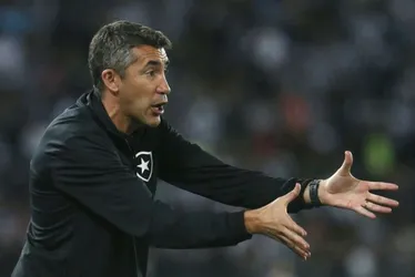 Imagem ilustrativa da imagem Técnico do Botafogo põe cargo à disposição após derrota para Flamengo