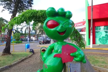 Imagem ilustrativa da imagem Terreno onde ET de Varginha supostamente apareceu deve virar ponto turístico
