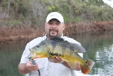 Imagem ilustrativa da imagem Torneio de Pesca Esportiva inicia comemorações de 223 anos de Linhares