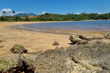 Imagem ilustrativa da imagem Três Praias com acesso liberado após 20 anos