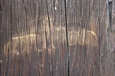 Imagem ilustrativa da imagem Turista de 17 anos é flagrado vandalizando templo japonês do século 8