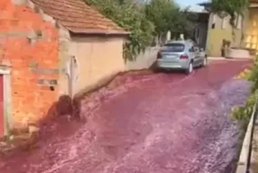 Imagem ilustrativa da imagem VÍDEO | 'Rio de vinho' inunda cidade em Portugal após acidente em destilaria