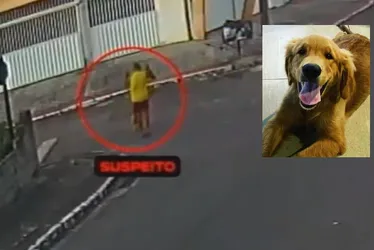 Imagem ilustrativa da imagem Vídeo mostra momento em que policial de MG atira em cachorro em rua de Guarapari