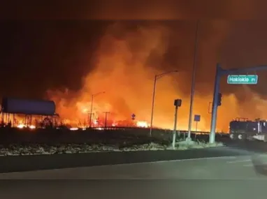 As queimadas começaram em agosto do ano passado e queimaram mais de 200 hectares