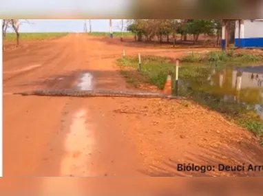 Jornal afirma que trata-se do momento em que o brasileiro bateu a cabeça, citando o Ministério Público argentino como fonte da imagem, gravada por uma câmera de segurança