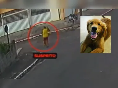 Um vídeo divulgado pela CPI dos Maus Tratos aos Animais mostra o momento em que o animal se aproxima do homem