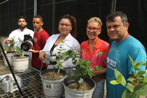 
          Imagem ilustrativa da imagem Ações em escolas e institutos do ES para proteger a natureza
          