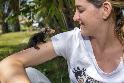 
          Imagem ilustrativa da imagem Ações em escolas e institutos do ES para proteger a natureza
          