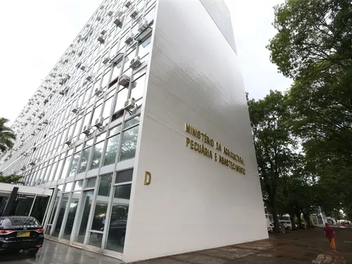 
          Imagem ilustrativa da imagem Agricultura confirma mais três focos de gripe aviária em aves silvestres
          