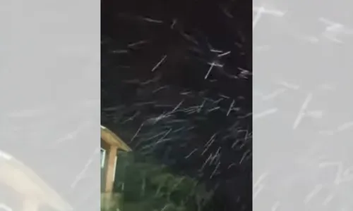 
          Imagem ilustrativa da imagem Após ciclone, Santa Catarina tem neve e temperaturas abaixo de zero
          