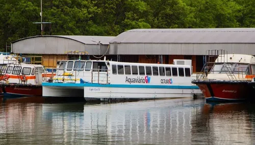 
          Imagem ilustrativa da imagem Aquaviário volta a funcionar no ES no dia 20 de agosto, anuncia governador
          