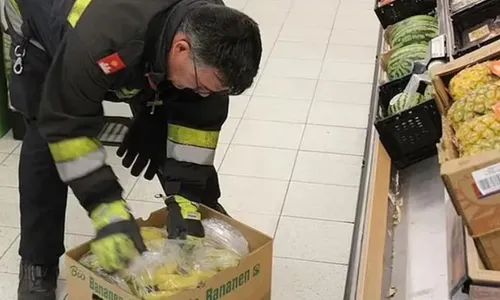 
          Imagem ilustrativa da imagem Aranha brasileira que causa ereção prolongada provoca fechamento de mercado
          