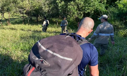 
          Imagem ilustrativa da imagem Atleta é resgatado após sofrer acidente ao saltar de parapente no ES
          