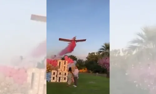 
          Imagem ilustrativa da imagem Avião cai, e piloto morre após manobra em chá de revelação
          