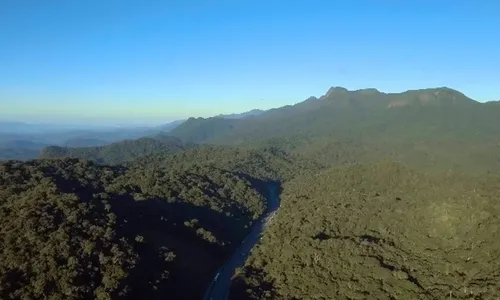 
          Imagem ilustrativa da imagem Avião com servidores públicos desaparece no PR
          