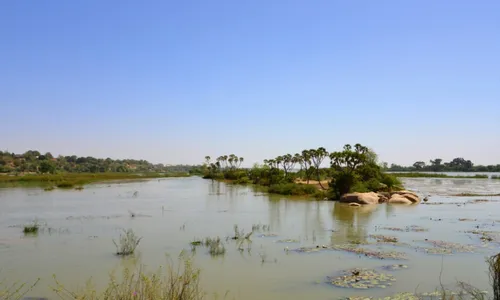 
          Imagem ilustrativa da imagem Barco que voltava de casamento na Nigéria afunda e mata mais de 100
          