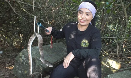 
          Imagem ilustrativa da imagem Bióloga descobre espécies de serpentes no Estado
          