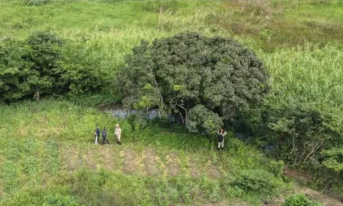 
          Imagem ilustrativa da imagem Bombeiros e polícia tentam encontrar criança desaparecida há 11 dias na Paraíba
          
