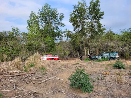 
          Imagem ilustrativa da imagem Buscas por adolescentes desaparecidos em Sooretama continuam neste domingo
          