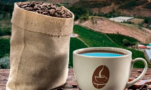 
          Imagem ilustrativa da imagem Caçadores de Destinos: descobertas no turismo de uma forma diferente
          