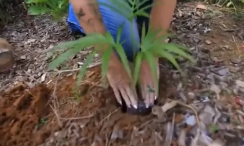 
          Imagem ilustrativa da imagem Caçadores na TV: Turismo de experiência no Espírito Santo
          