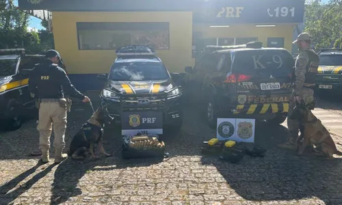 
          Imagem ilustrativa da imagem Cães da PRF encontram mais de 40 kg de drogas em ônibus com destino ao ES
          