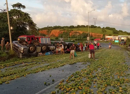 
          Imagem ilustrativa da imagem Caminhão com carga de laranjas capota na BR-101
          