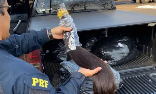 
          Imagem ilustrativa da imagem Carga de cabelo humano avaliada em quase R$ 400 mil é apreendida em MS
          