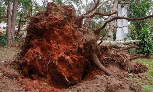 
          Imagem ilustrativa da imagem Ciclone castiga Sul e mau tempo deve atingir outros estados
          