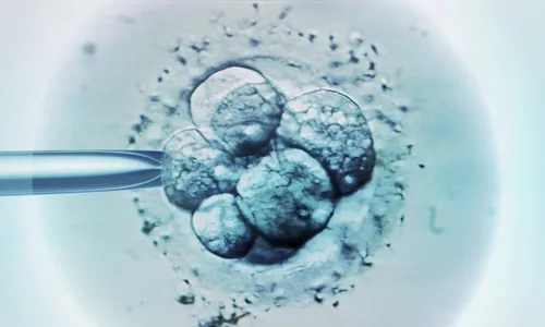 
          Imagem ilustrativa da imagem Cientistas criam embrião humano 'sintético' sem usar espermatozoide nem óvulo
          