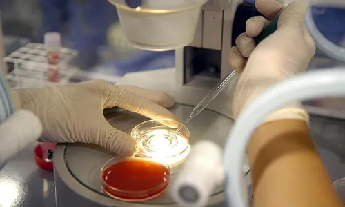 
          Imagem ilustrativa da imagem Clínicas de fertilização oferecem financiamento em até 36 vezes para ter filho
          