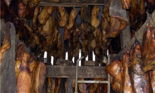 
          Imagem ilustrativa da imagem Conheça o Hákarl, petisco feito de carne apodrecida de tubarão
          