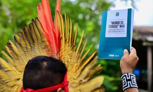 
          Imagem ilustrativa da imagem Constituição brasileira é traduzida pela 1ª vez para língua indígena
          